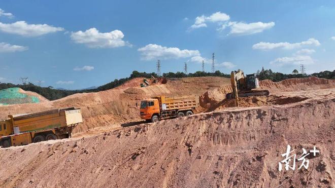 外国游客“年味打卡”偏爱广东|早安广东(图2)