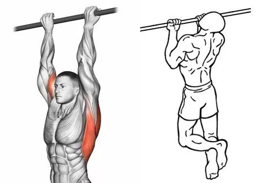 引体向上真正的“动作之王”!隔天训练一次这些好处会找上你(图4)