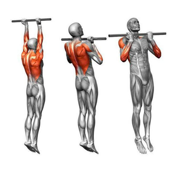 引体向上真正的“动作之王”!隔天训练一次这些好处会找上你(图5)